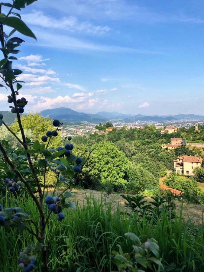 Foresteria Antica Bastia B&B แบร์กาโม ภายนอก รูปภาพ