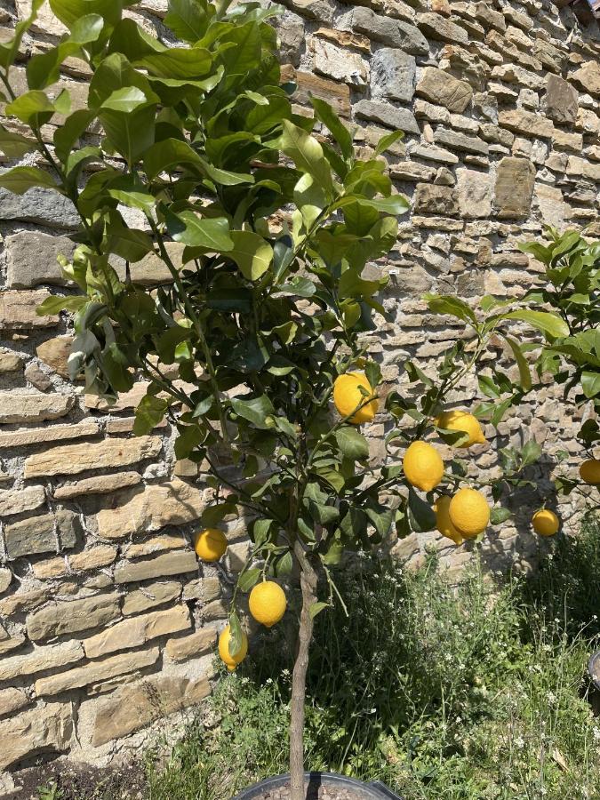 Foresteria Antica Bastia B&B แบร์กาโม ภายนอก รูปภาพ